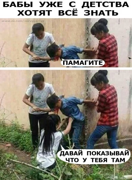 file_88669051
