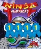 Ninja Warriors-60612