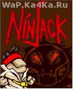 Ninjack 176х220
