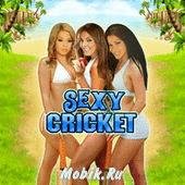 Sexy Cricket 176