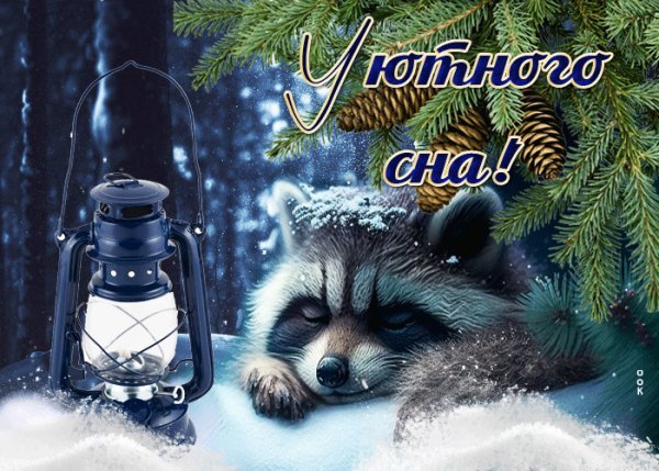 Анимированная открытка уютного сна