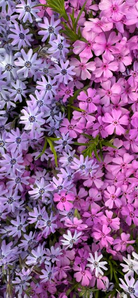 IMG 20250610 212320 668