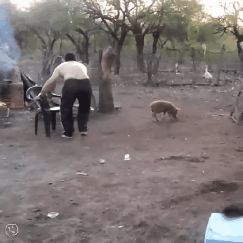 нежданчик 000511