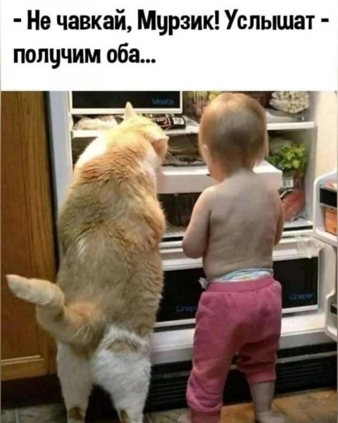 ))