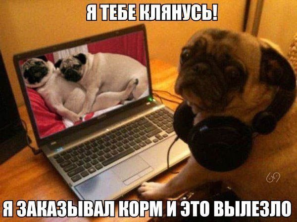 Приколы