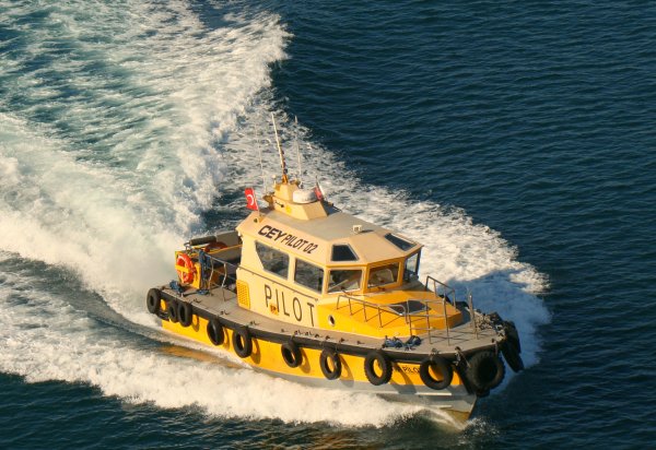 IMG viter59 151522