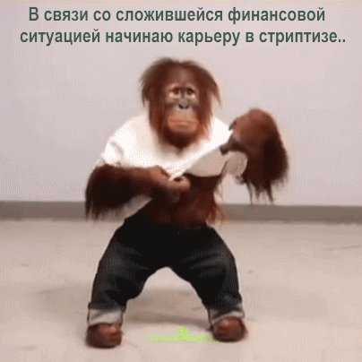 file_98785836