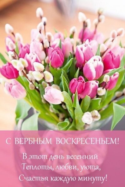 file_93201101