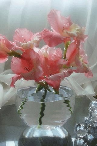 file_50565012