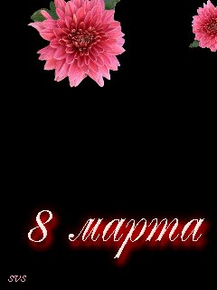 Безимени-10