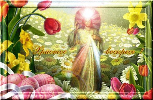 file_26764230