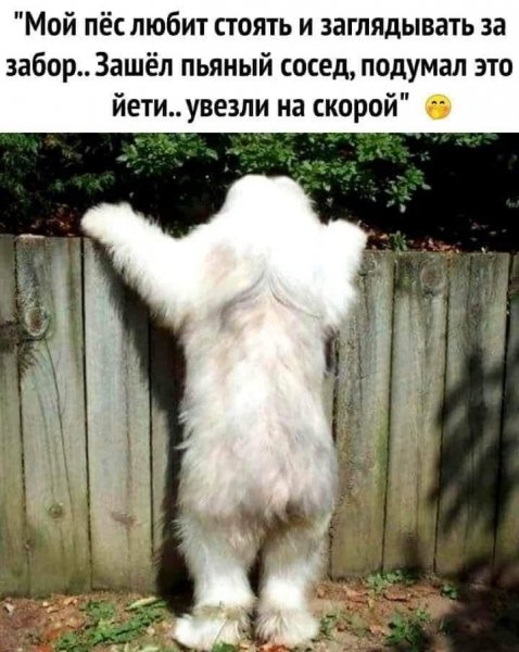 FB IMG 1777392941500