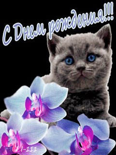 file_42245382