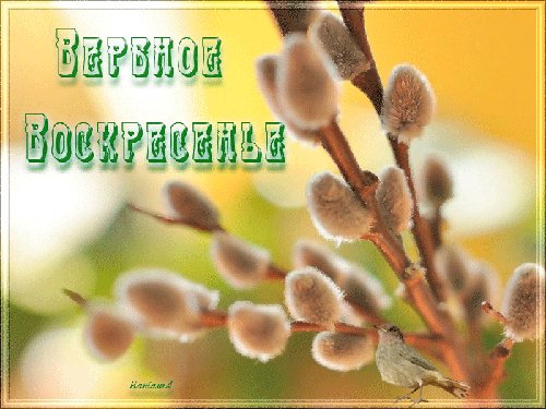 file_46630936