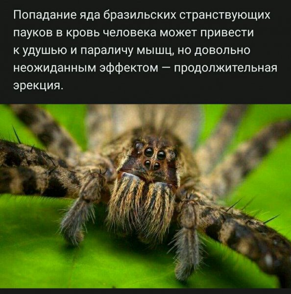 file_85513090