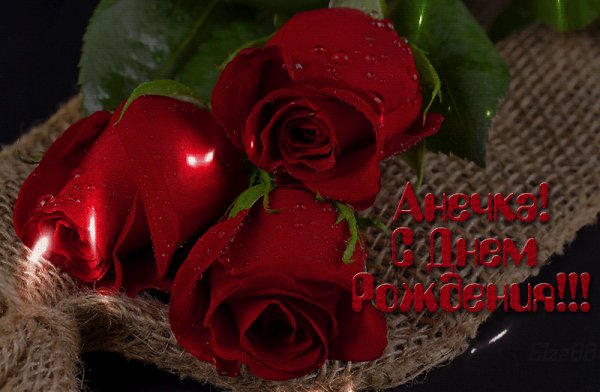 С Днём Рождения Анечка!