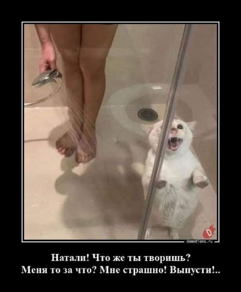 Что же ты творишь?