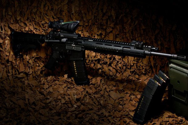 ruger-sr-556e
