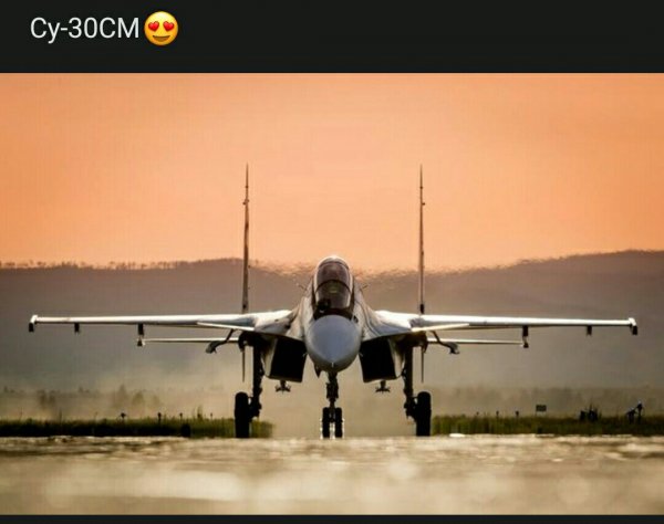 file_79332704