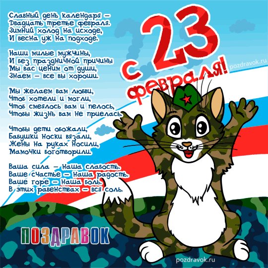 otkrytka-23-fevralya-kot-so-stihom