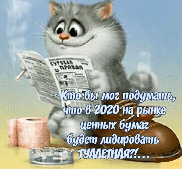 file_81264046