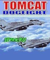 Tomcat Dogfight 240