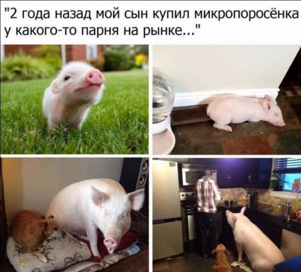 file_82210171
