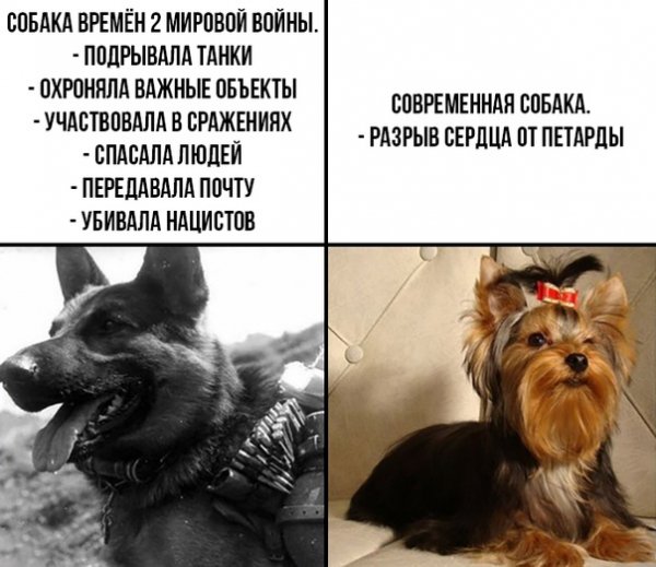 ygZYzefEqhE