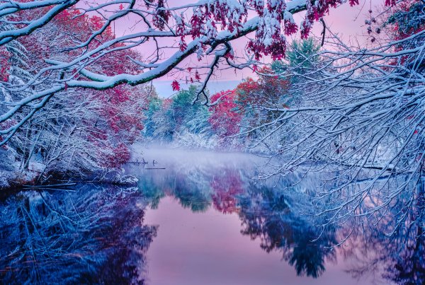 Заснеженная красота