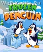 Frozen Penguin nokia asha 305 240x400