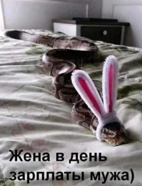 В день зарплаты мужа