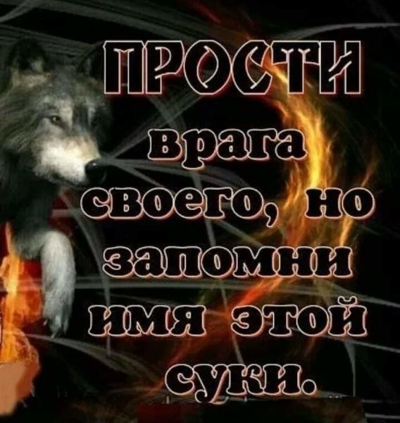 1ba9af5d6ce78764e10b2bbf022d8c4d