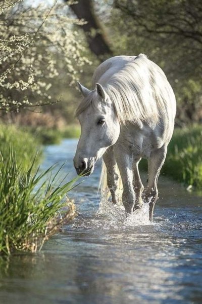 2ae6518dbddbbbe4fc2d6c6912fa851b