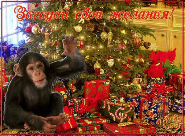 Загадай свои желания!