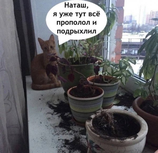 FB IMG 1770065821120