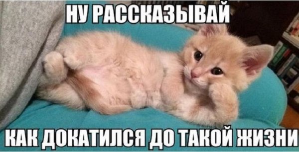 Ну рассказывай, как докатился до такой жизни...