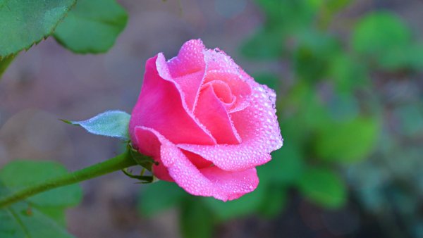 file_90410995