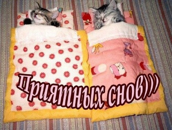 Приятных снов