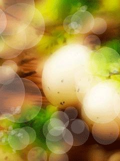 file_62635693