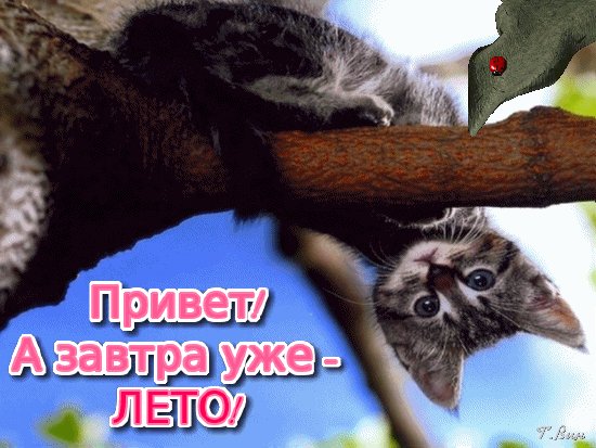 Анимированная открытка привет а завтра