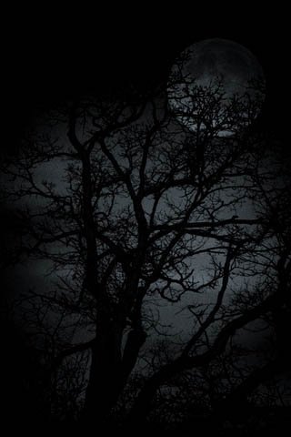 file_95113077