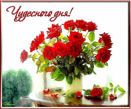 IMG 20180916 082947 465