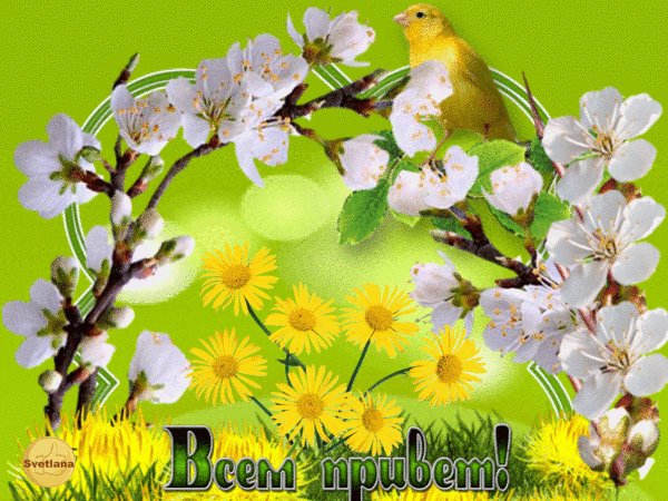 file_73000644