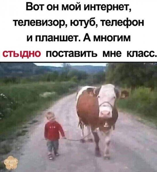 file_88904079