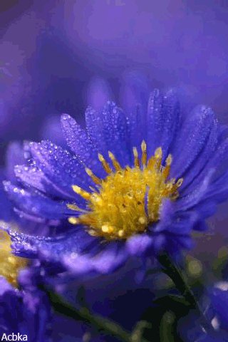 file_75502494