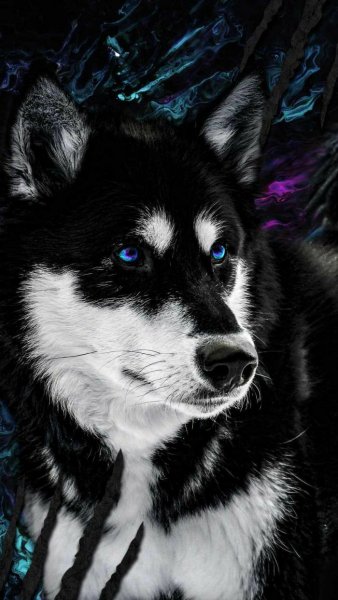 file_90004319