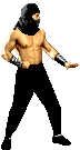 Masked Fighter
