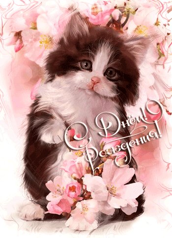 Анимированная открытка с днем рождения (1)