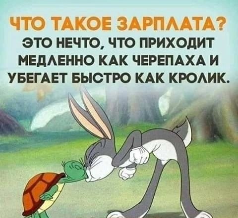 file_84818308