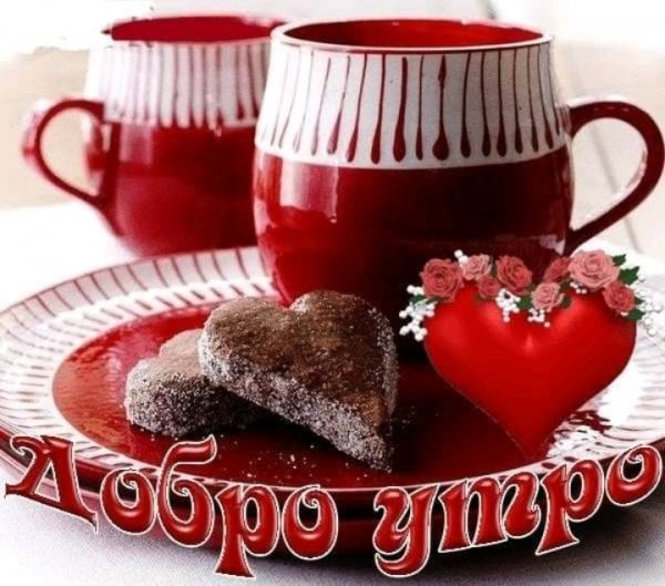 IMG 20191213 035902